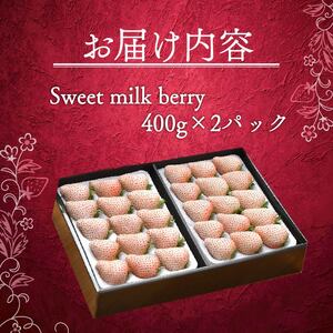 白いちご 800g 高級 Sweet milk berry フルーツ 果物 【 白いちご 】 イチゴ 苺 いちご