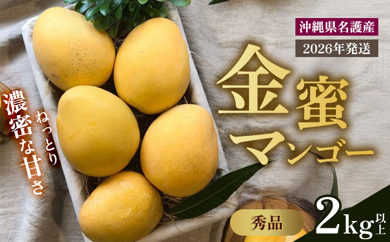 【2025年 先行予約 数量限定】マンゴー好きに食べてもらいたい！金蜜マンゴー 秀品 2kg以上 秀品 先行予約 沖縄 甘味 糖度 濃厚 おいしい お土産 まんごー きんみつ ギフト プレゼント 果実