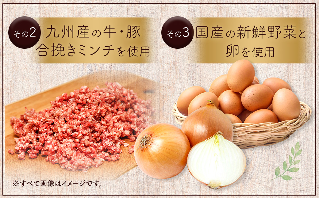 豆腐ハンバーグセット 100g×15個入 冷凍 レンジ・湯煎で簡単 小分け 国産 熊本県あさぎり町