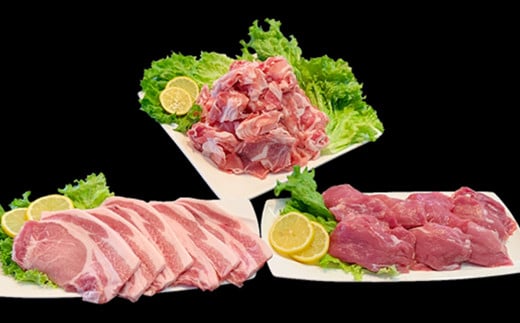 国産豚肉2種とんかつ用・こま切れセット3kg（小分け真空包装）【下妻工場直送】【豚肉 パック とんかつ  小分け ロースとんかつ ヒレ カツ 便利 国産 料理 ポーク ぶたにく 国産豚 マルリン】