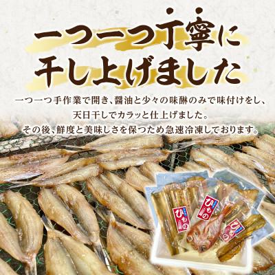 ふるさと納税 西尾市 三河湾の季節の天日干し干物5種セット・M098 |  | 02