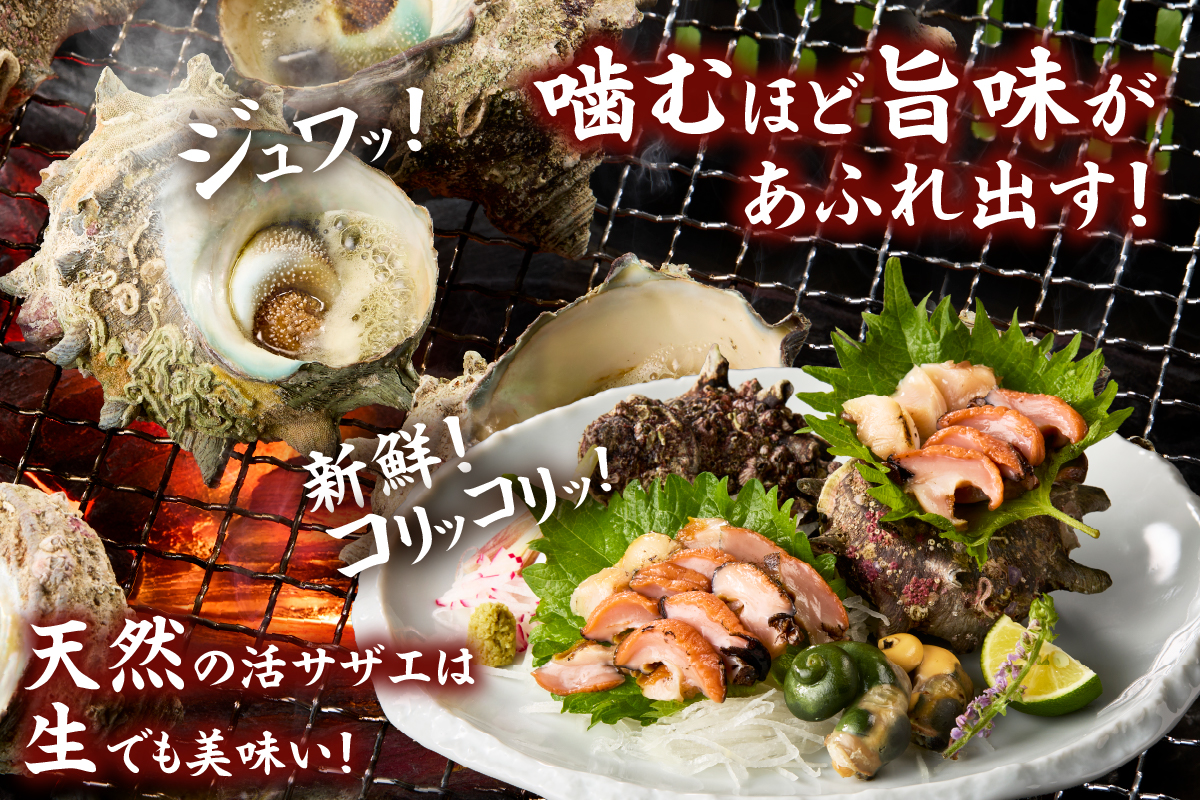【兵庫県香住産 天然 活 サザエ 2kg（14～20個）冷蔵】香住で水揚げされた新鮮なサザエをお届け つぼ焼き 炊き込みご飯 サザエ飯 酒の肴 磯の香り 風味豊か さざえ 新鮮 天然 海鮮 大人気 夏