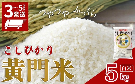 家計応援 寄附額改定 黄門米 コシヒカリ 5kg 白米 通常便 1回  | <最短3日後発送> コシヒカリ こしひかり 5kg 5キロ 米 こめ コメ お米 白米 精米 お取り寄せ 贈答 人気 ランキング ごはん 贈り物 5キロ 風味 甘い 米どころ ブランド米 黄門米 水戸黄門 人気米 茨城県産 常陸太田市 タツミ米穀
