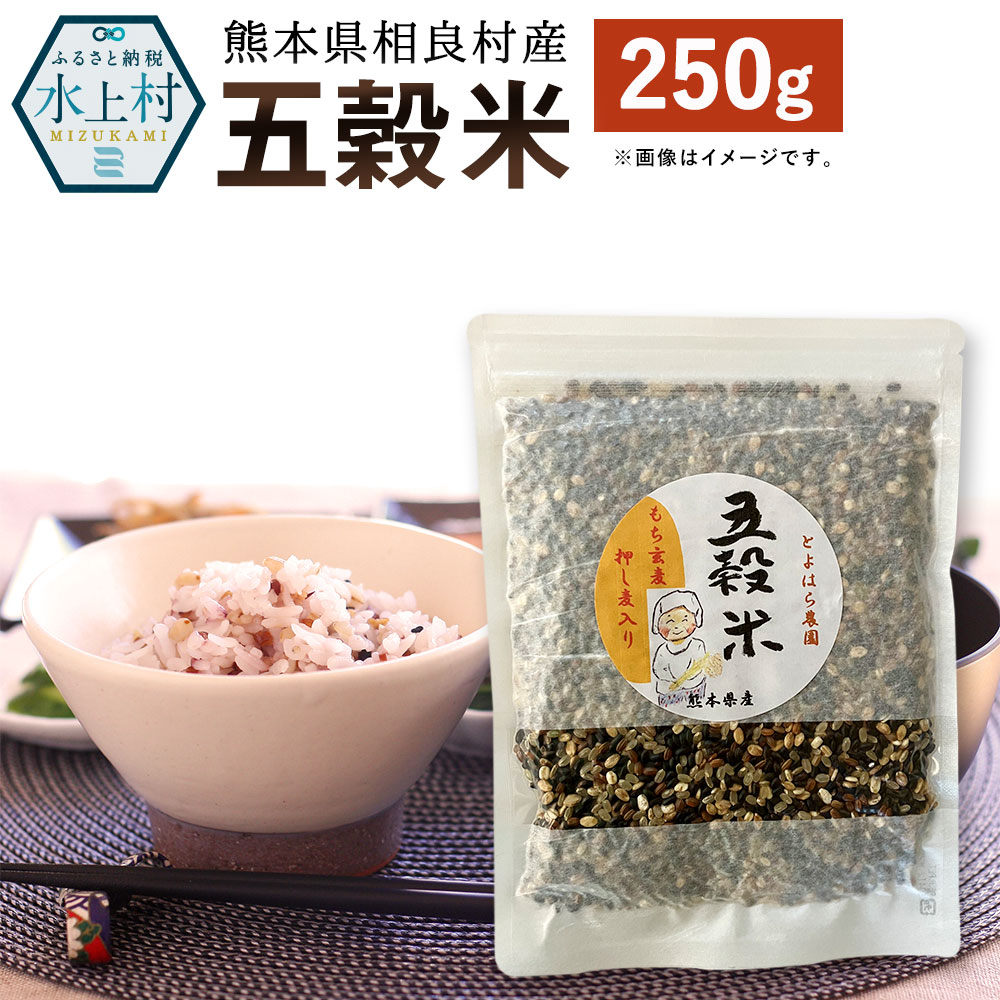 【ふるさと納税】ヘルシー五穀米 250g 国産 熊本県産 黒米 もち皮付き押し麦 うるち玄米 もち押し麦 赤米 雑穀米 ブレンド 送料無料 【2025年11月上旬より順次発送開始】