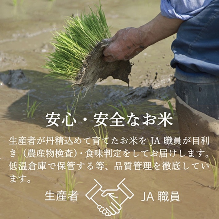 SE0435　1月中旬配送／令和7年産【精米】山形県産 特別栽培米 つや姫　10kg(5kg×2袋) JS