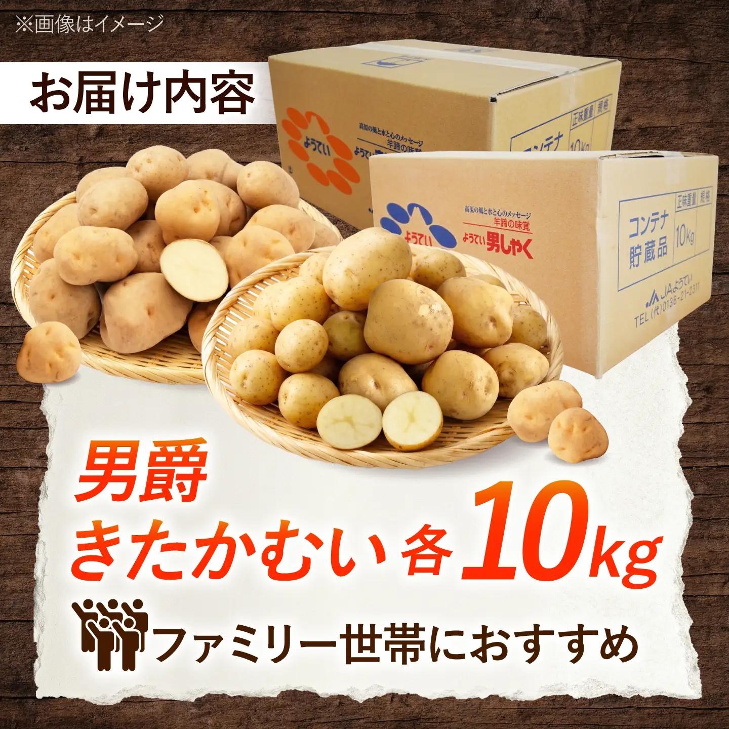 【2027年1月上旬以降順次発送】 じゃがいも 食べ比べセット（男爵・きたかむい）計20kg （10kg×2種） | じゃがいも ジャガイモ 男爵芋 きたかむい 北海道 産地直送 セット 先行予約 |