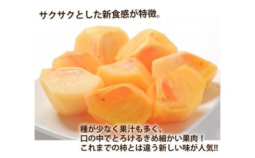 太秋柿 秀品 約3kg（約8～14個） ブランド柿 柿 かき たいしゅうかき 甘柿 フルーツ スイーツ くだもの 果物 果実 秋 旬 益城町産 【2025年10月下旬～11月下旬発送予定】