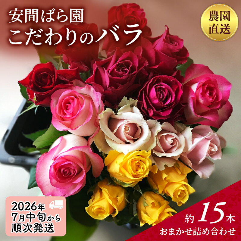 【ふるさと納税】【2026年7月中旬から順次発送】安間ばら園 こだわりの バラ おまかせ詰め合わせ約15本入 クール便 花 ギフト 誕生日 記念日 花束 プレゼント バラ フラワーギフト　お届け：2026/7/15～2026/7/31まで