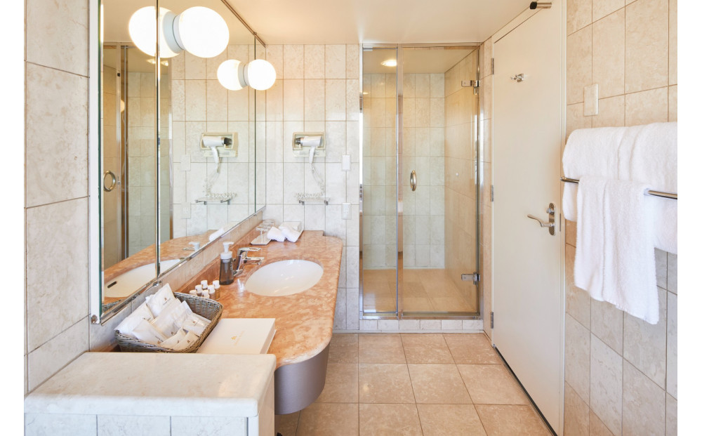 グランドニッコー東京ベイ 舞浜 ペア宿泊券【ニッコーデラックスルーム】朝食付き