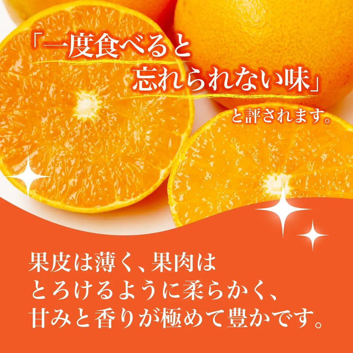 【先行受付】せとか 5kg レギュラー箱 みかん 柑橘