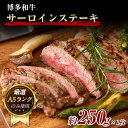 【ふるさと納税】博多和牛サーロインステーキ 250g (250g×1枚)《30日以内に出荷予定(土日祝除く)》小竹町 博多和牛 株式会社MEAT PLUS 牛肉 サーロイン A5ランク のみ使用 厳選