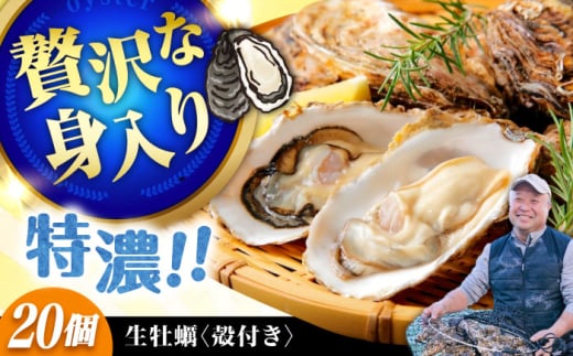 【2月1日（日）着】高品質の牡蠣を産地直送！ 【生牡蠣】【着日指定可能】『てつまるかき』牡蠣 殻付き 20個 加熱用 かき 海鮮 海産物 簡単 広島県産 江田島市/有限会社テツマル海産 [XCO006
