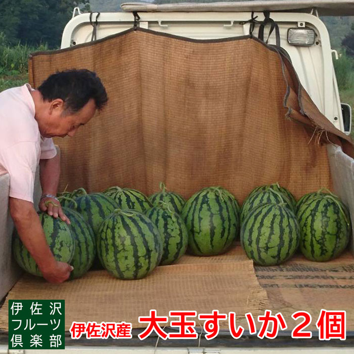 【ふるさと納税】【2025年7月～8月発送分先行受付】伊佐沢フルーツ倶楽部の大玉すいか2玉_H099(R7)