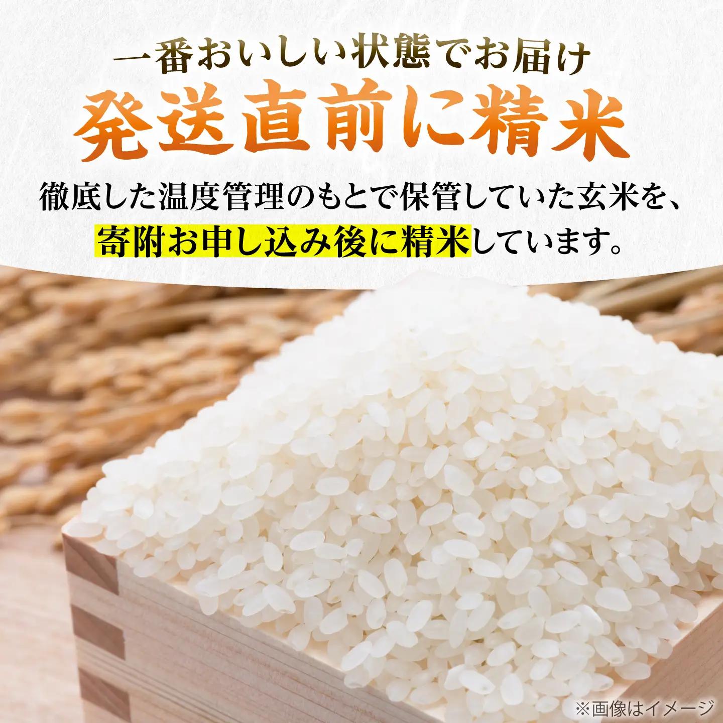 【全6回定期便】令和8年産 新米 夢つくし 10kg×1袋[VBC006]
