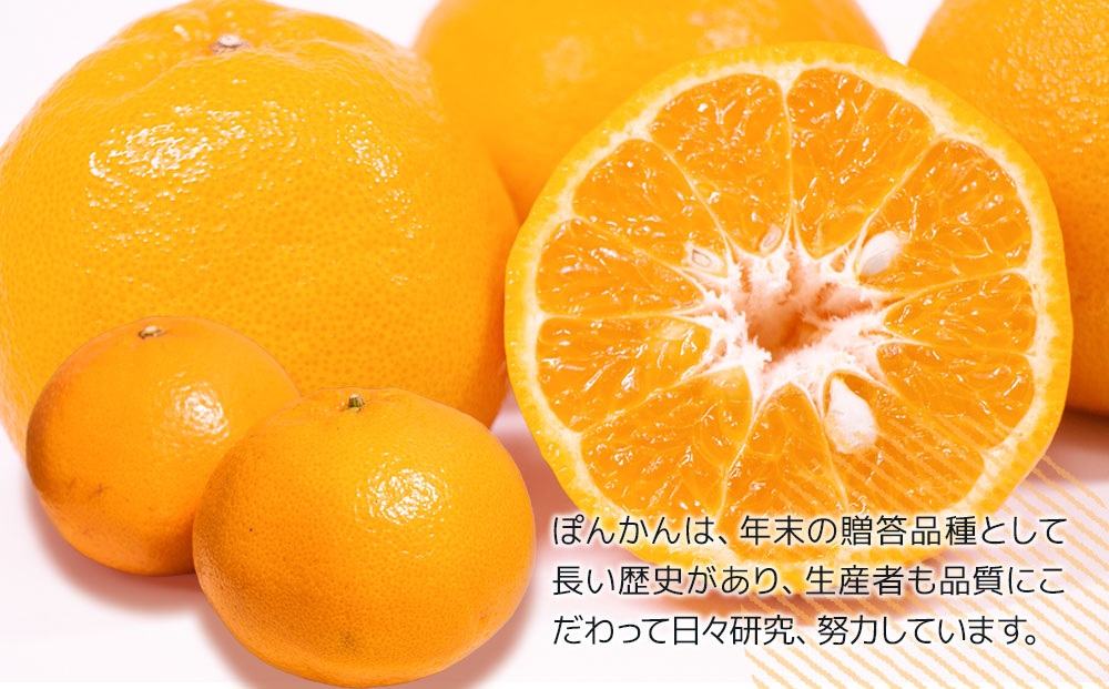 ぽんかん 10kg | ポンカン みかん 果物 大分県 九州 津久見市 国産