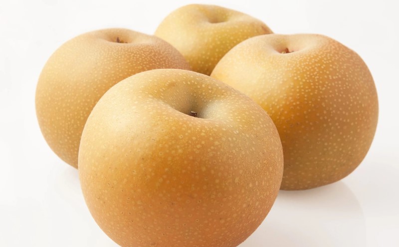 定期便 3回 梨 約10kg×3回 計約30kg 豊水 秋月 新高 錦町産 ナシ 果物 くだもの なし デザート フルーツ お楽しみ ※配送不可：離島 