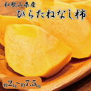 【ふるさと納税】 和歌山秋の味覚 平核無柿 （ひらたねなしがき） 【選べる容量】 2kg 4kg 7.5kg ※2025年10月上旬頃～2025年10月下旬頃順次発送（お届け日指定不可）/ 和歌山 柿 フルーツ 果物 カキ かき たねなし柿