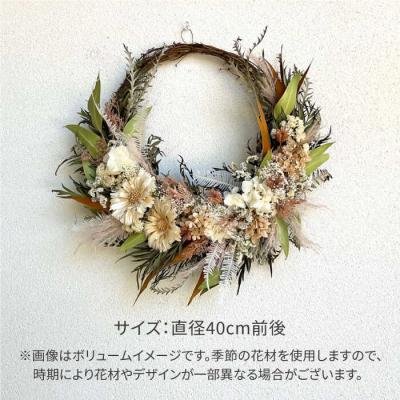 ふるさと納税 糸島市 ロゼッタのリース(Lサイズ)糸島市/tokohana ドライフラワー アレンジ[AOC032] |  | 03