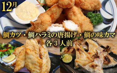 【 クエ鍋 】 タマクエ鍋 愛南 海鮮 定期便 6回