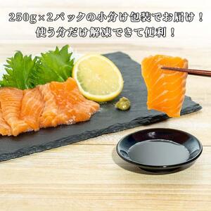 サーモン 切り落とし 500g お刺身可 便利な小分け 250g 2パック ノルウェー産 冷凍 沼津 静岡県 