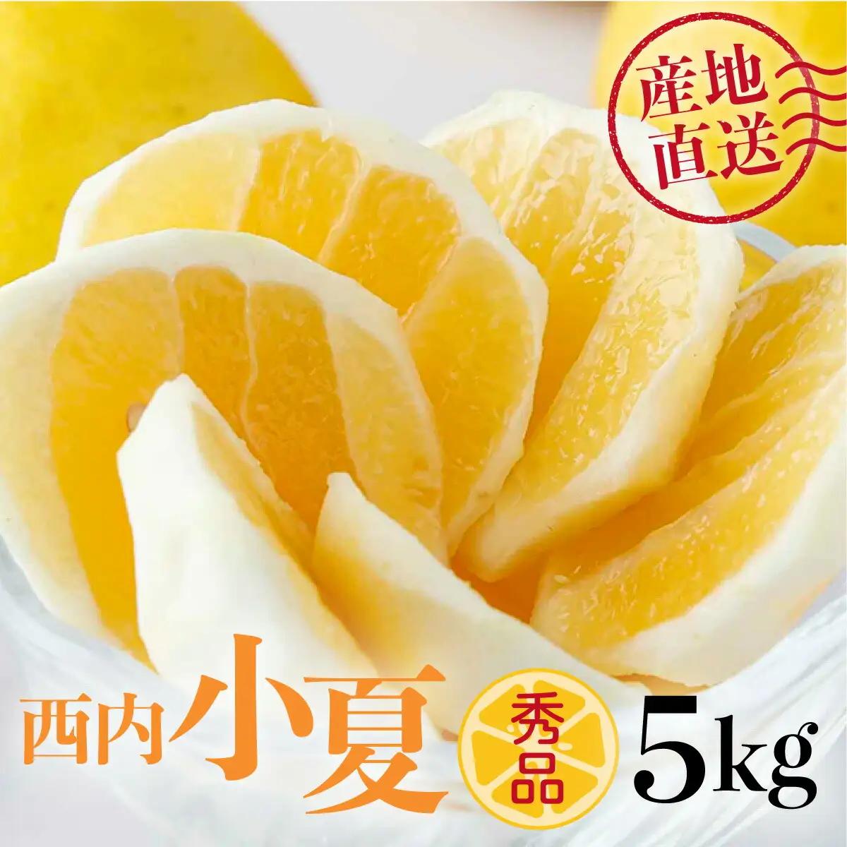 【秀品】　西内小夏　5kg　N57 [NU-08] 【西内農園】