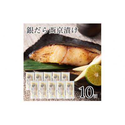 ふるさと納税 小松市 銀だら西京漬け 10切れセット 小分け 冷凍銀だら 小分け 西京焼