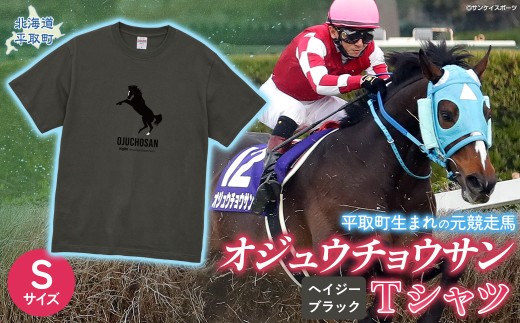 【オジュウチョウサン】Ｔシャツ _Ｓサイズ（ヘイジーブラック） 【ふるさと納税 人気 おすすめ ランキング 馬 競馬 競走馬 オジュウチョウサン 北海道 平取町 送料無料】 BRTV004-1