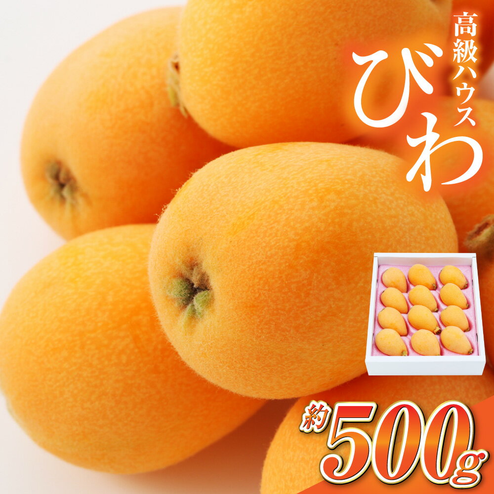 【ふるさと納税】長崎 高級ハウスびわ 計500g 化粧箱入り 枇杷 フルーツ 果物 旬 季節 ビワ 高級 ギフト 贈り物 長崎県産 国産 冷蔵 長崎県 長崎市 送料無料【2026年4月上旬から下旬発送予定】