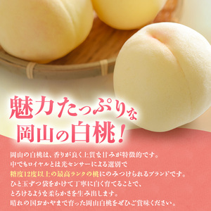 桃 2026年 先行受付 白桃 特秀 ロイヤル 大玉 晩生品種 約4kg(8～15玉) 岡山