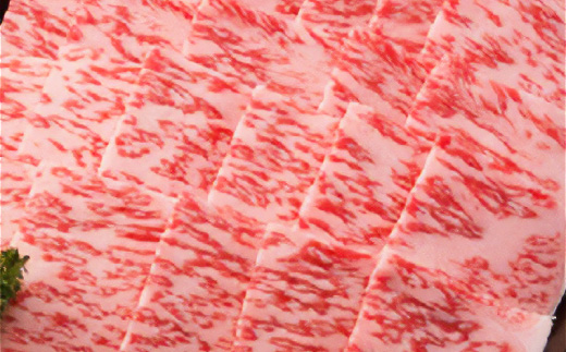 【飛騨牛】ロース焼肉 1kg 岐阜県産 黒毛和牛 贈り物にも【配送不可地域：離島】