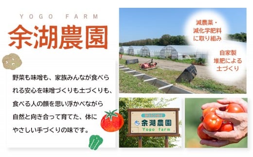 自家製味噌　700g×2パック