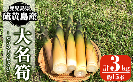 msm-018 《先行予約受付中！2027年5月初旬以降順次発送予定》硫黄島産 大名筍3kg(約15本)【いおう】三島村 筍 たけのこ タケノコ 皮付き 産地直送 採れたて 野菜 旬 新鮮 煮物 味噌汁 炊き込みご飯 