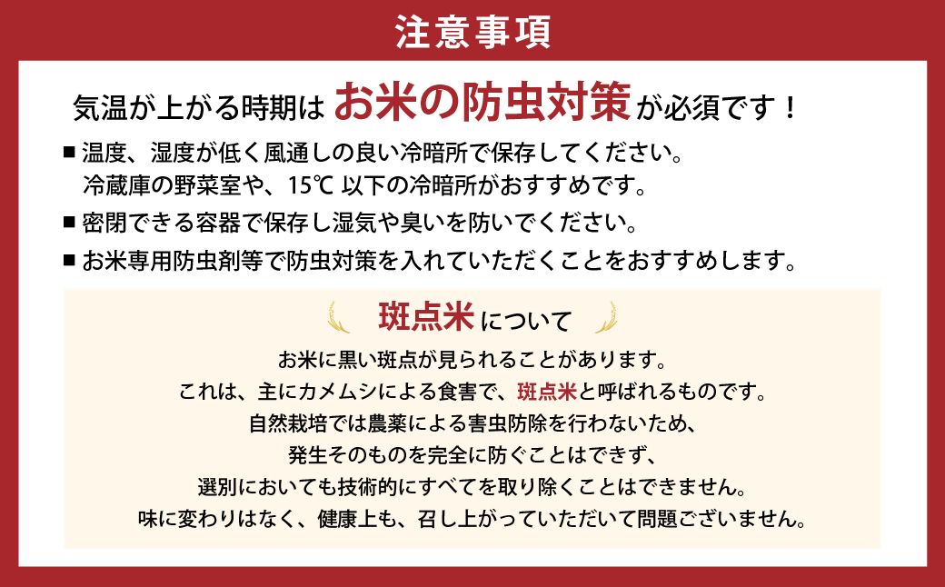 【９月中旬発送予定】令和８年産新米　特別栽培米 循環型農業で作った「にじのきらめき」10kg (5kg×2) 米 コメ こめ 特別栽培 先行 先行予約 精米 白米 人気 おすすめ 5kg 三重県 多気