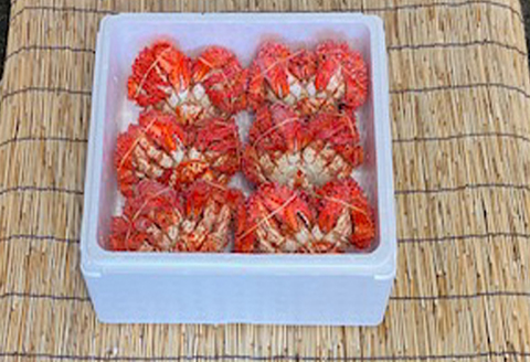 【北海道根室産】花咲かに500g～650g×6尾 D-76004