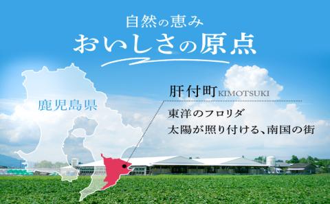 鹿児島黒牛　モモステーキ　約600ｇ