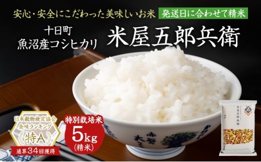 【令和7年産米】魚沼コシヒカリ 米屋五郎兵衛特栽米5kg 選べる配送時期 お米 精米 こめ ご飯 白米 特別栽培 令和8年4月下旬