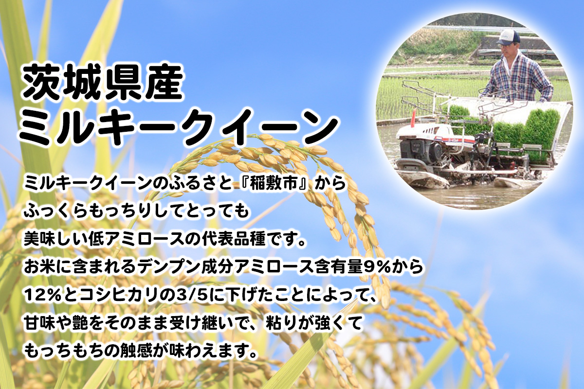 新米【令和7年産】ふっくらもっちり 茨城県産 ミルキークイーン 白米 10kg (5kg×2袋)｜お米 おこめ 精米 直送 稲敷 茨城 [1774]