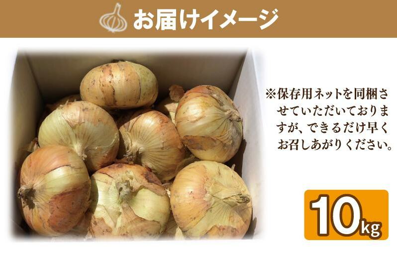 【先行予約】 数量限定 幻のたまねぎ 泉州黄玉ねぎ 10kg【新鮮 野菜 泉佐野産 茄子 やさい 高評価 数量限定】 010B259_イメージ4