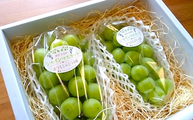 【2026年先行予約】まつもとぶどう園 シャインマスカット2房約1kg 果物類 フルーツ