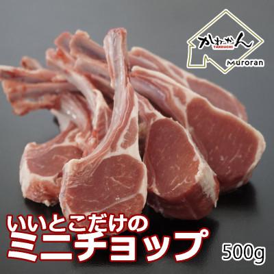 ふるさと納税 室蘭市 下味付き訳ありラムチョップ約500g