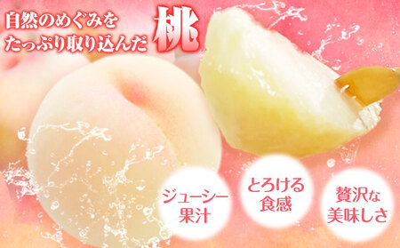桃 川中島白桃 紀の川市産 約2kg(6-9玉) 紀農人株式会社《2025年7月中旬-8月末頃出荷》 和歌山県 紀の川市 果物 フルーツ 桃 もも モモ 旬