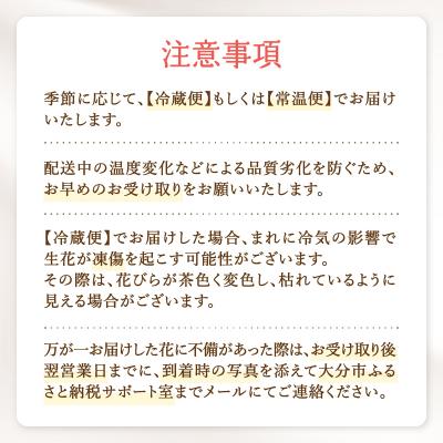 ふるさと納税 大分市 【毎月お届け定期便】季節の花束 旬のお花をお届けします ≪12回お届け≫_T10054 |  | 02