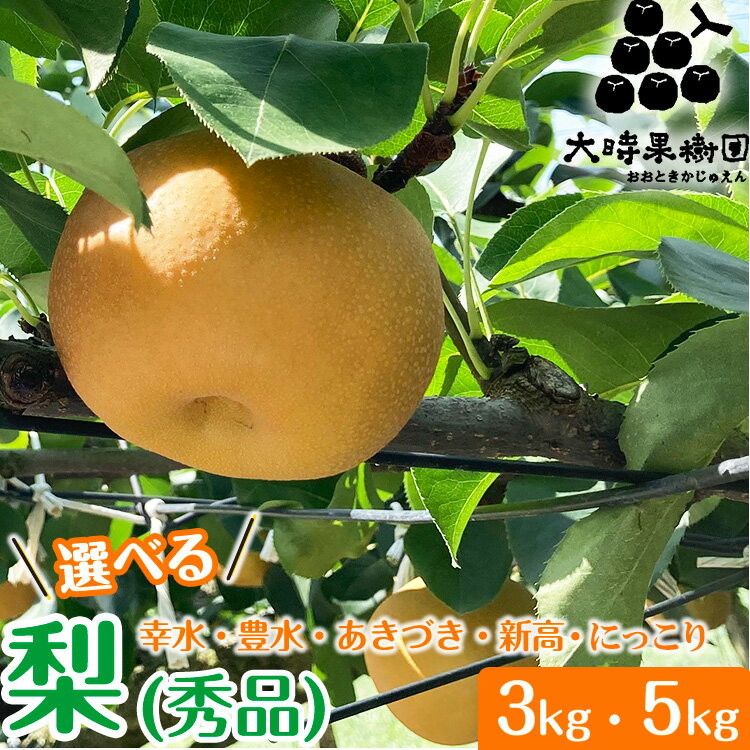 【ふるさと納税】【先行予約】【選べる内容量・品種】梨 3kg または 5kg 箱（秀品）｜幸水 豊水 あきづき 新高 にっこり 旬 産地直送 フルーツ 果物 贈答 ※2025年8月中旬頃より順次発送予定