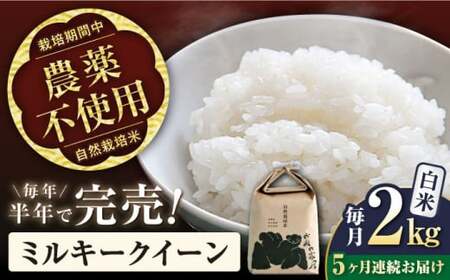 【令和7年産新米】【全5回】自然栽培米ミルキークイーン　2kg白米×5回[AQCP008] 白米