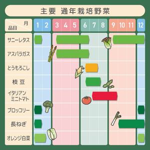 とうもろこし 2種食べ比べミックス 味来×ドルチェドリーム 約2㎏（5～6本
