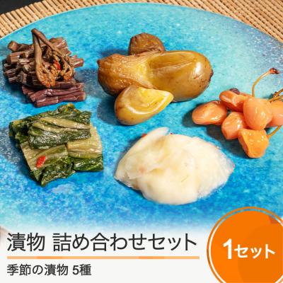 ふるさと納税 大石田町 漬物 季節の漬け物 詰め合わせ 3,000円分(5種)