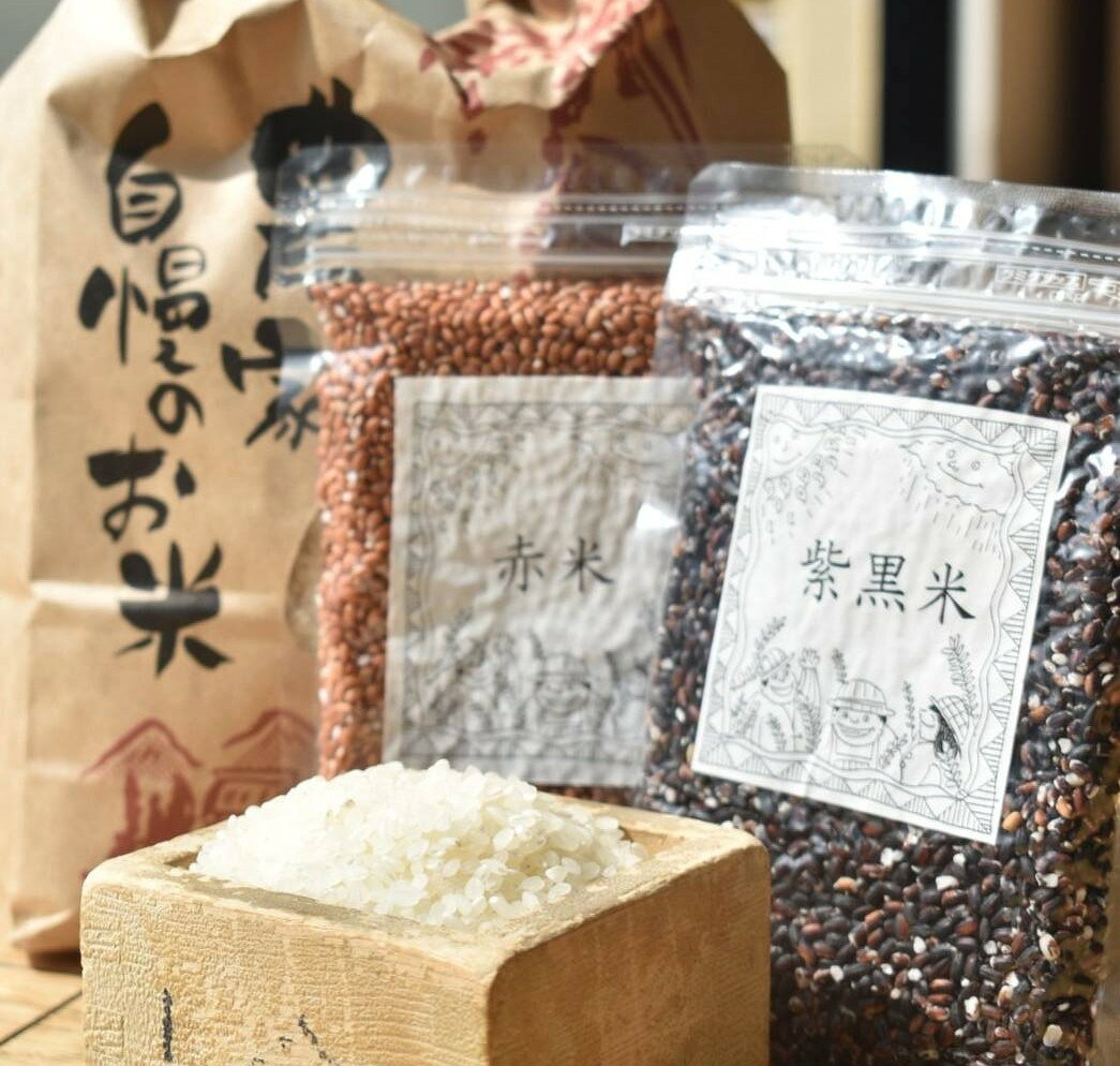 【ふるさと納税】お米セット｜お米 コメ 米 白米 コシヒカリ 豊コシヒカリ ユタカコシヒカリ 古代米 雑穀米 アントシアニン 健康米 カフェごはん 3kg ご飯 3kg おいしい 精米 もち米 粒ぞろい つやつや 希少米 もちもち お弁当 希少 愛知県 武豊町│わっぱ知多共働事業所