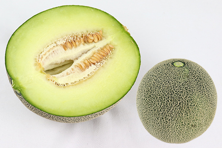 タカミメロン4～6玉（5～7kg）【6月中旬～7月中旬頃に発送】　本田農園