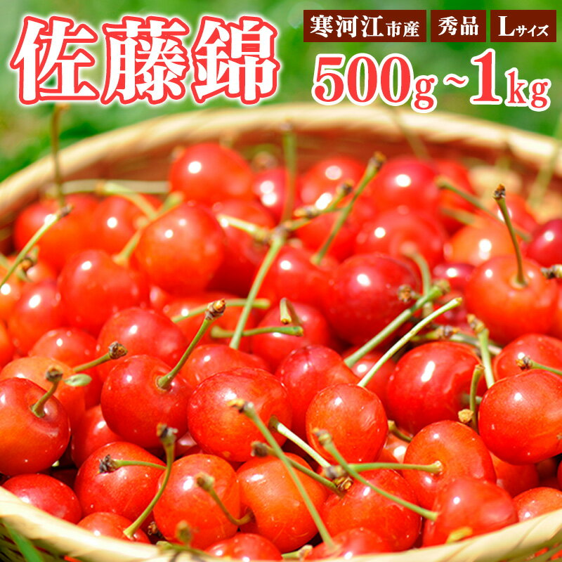 【ふるさと納税】選べる！さくらんぼ 「佐藤錦」 秀品 500g 1kg Lサイズ 【2025年6月上旬頃〜下旬頃発送予定】 ／ お取り寄せ ご当地 特産 フルーツ 果物 果実 くだもの サクランボ 2025年産 令和7年 東北 ふるさと納税 果物 山形