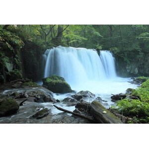 【返礼品なし】青森県十和田市　ふるさと応援寄附金